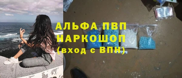 молекула духа Мегион