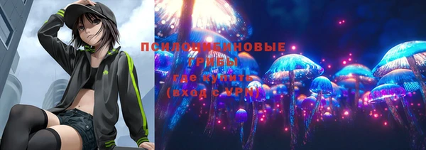 apvp Михайловка