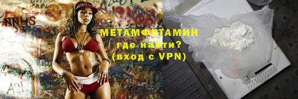 прущие грибы Михайловск