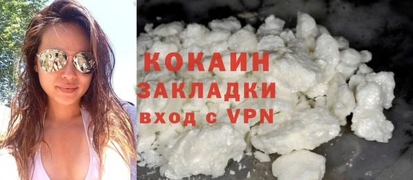 прущие грибы Михайловск