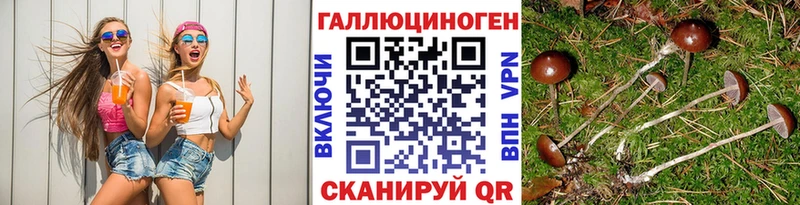 kraken ТОР  Луга  Галлюциногенные грибы Magic Shrooms  цена наркотик 