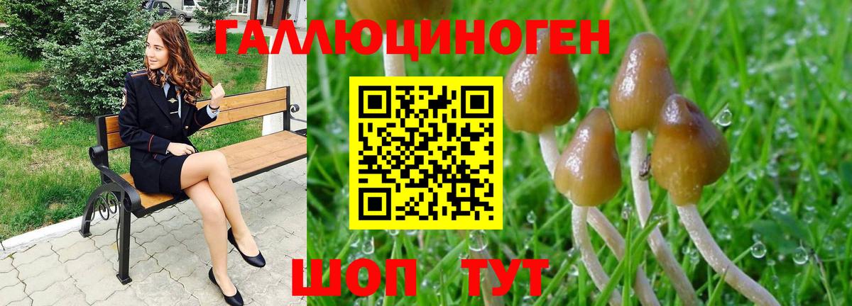 Псилоцибиновые грибы ЛСД Луга