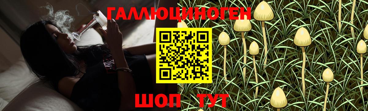 Галлюциногенные грибы Psilocybe  Вход с VPN  Луга 
