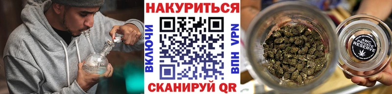 купить наркотики сайты Луга Шишки марихуана ГИДРОПОН